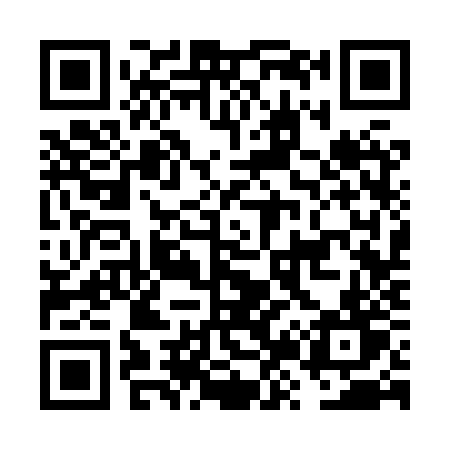 QR code for FZ38ZT