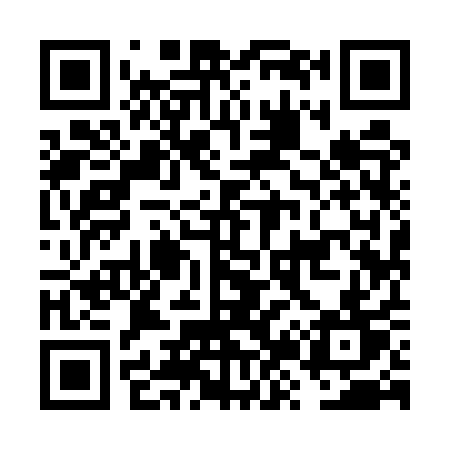 QR code for FZ95QT