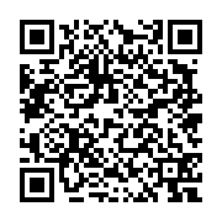 QR code for GAU4323