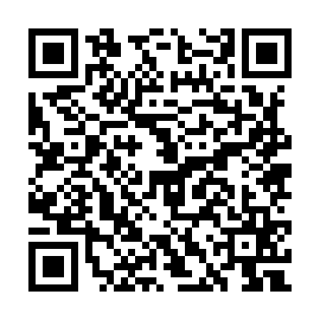 QR code for GDZ9653