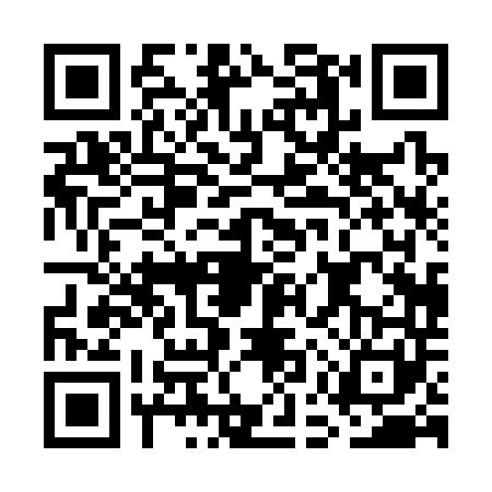 QR code for GEP3411