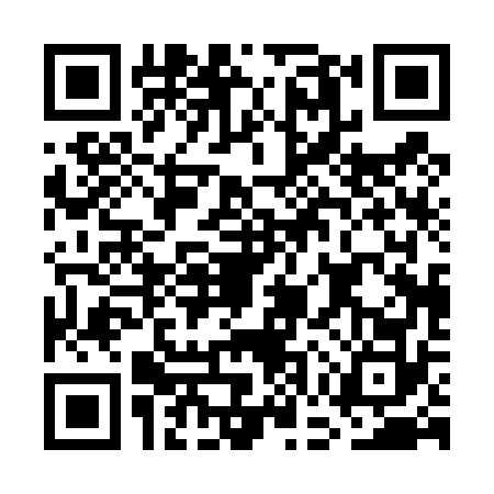 QR code for GGP4729