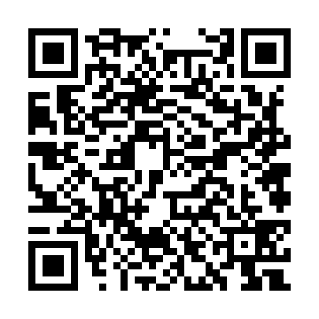 QR code for GIF9393