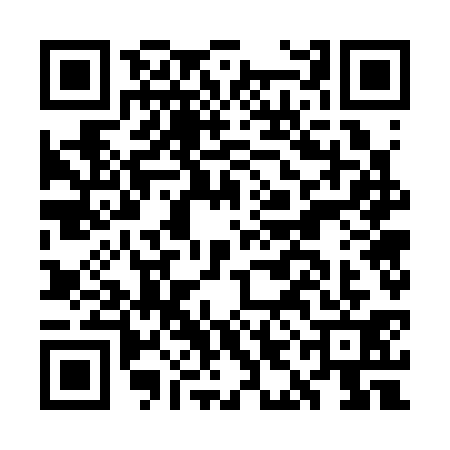 QR code for GIG3313