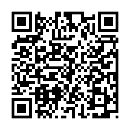 QR code for GIG8994