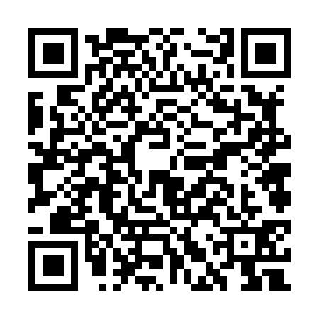 QR code for GLV8313