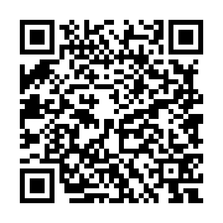 QR code for GTT8733