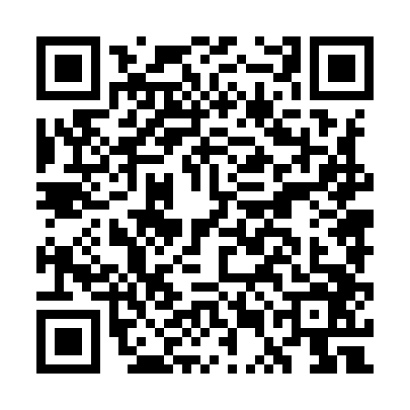 QR code for GUN9461