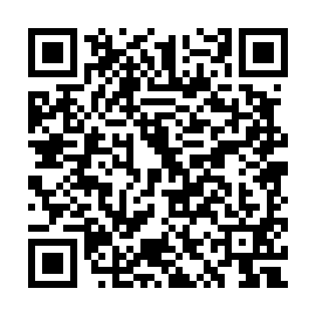 QR code for GYP4919