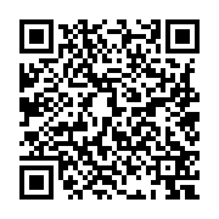 QR code for HAG9234