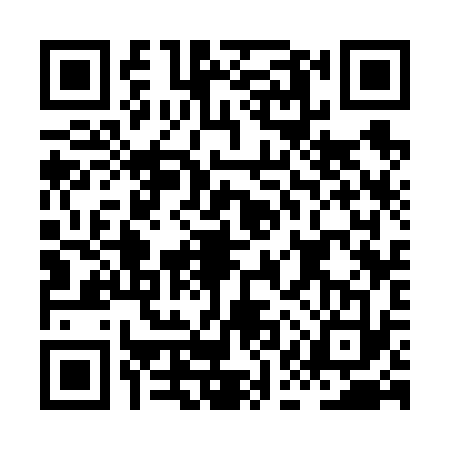 QR code for HAS6333