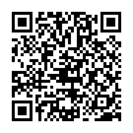 QR code for HEK0383