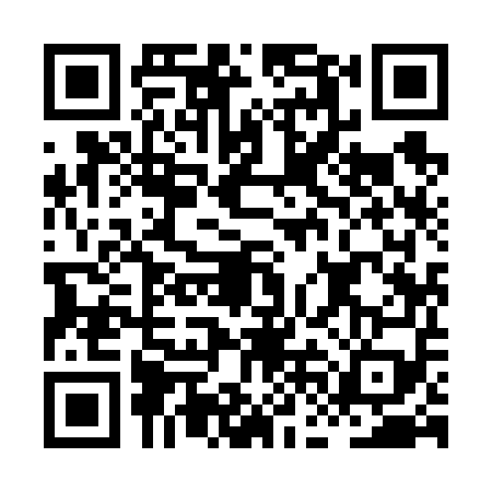 QR code for HFI6597