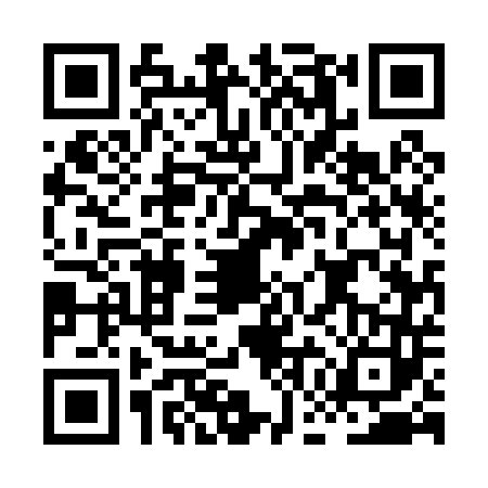 QR code for HGE0438