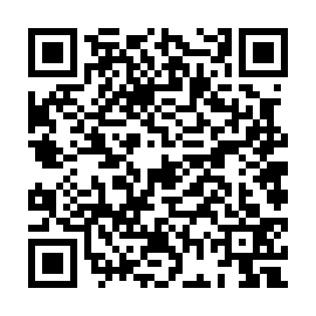 QR code for HGV0334