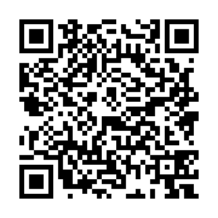QR code for HGX1383