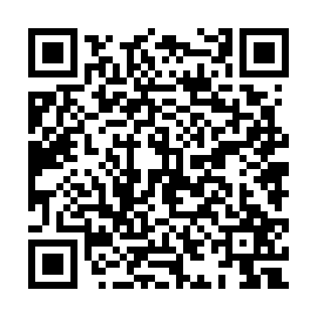 QR code for HIN7273