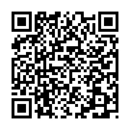 QR code for HIZ9838