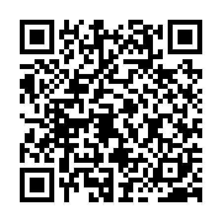 QR code for HMM2013