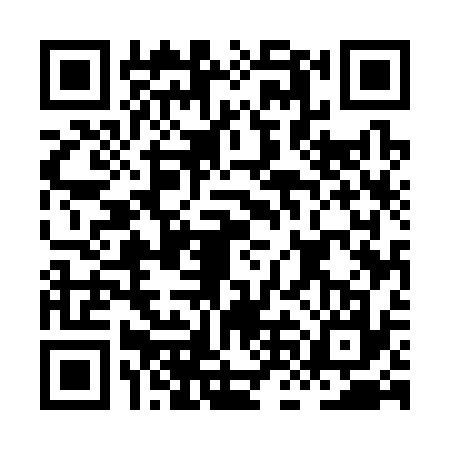 QR code for HNE3379