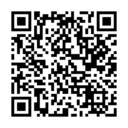 QR code for HO29CI