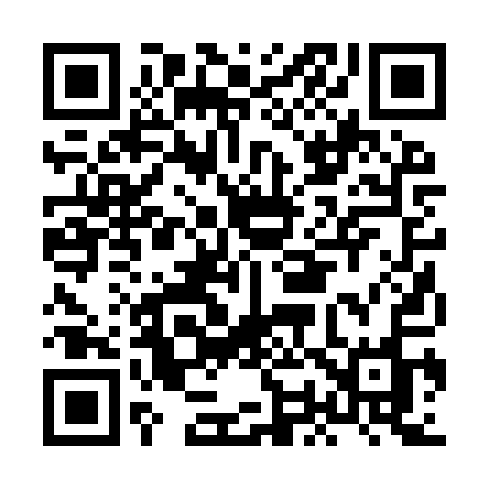 QR code for HO29QO