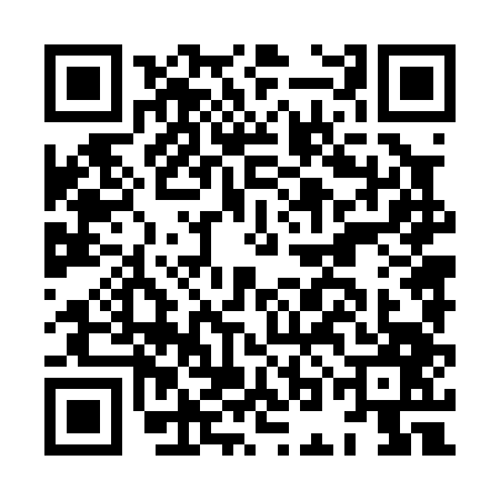 QR code for HON0476