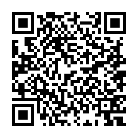 QR code for HON9738