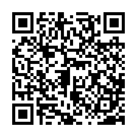 QR code for HPP2829