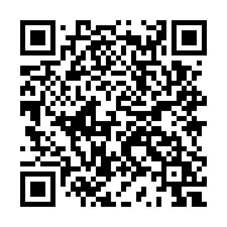 QR code for HS95PU