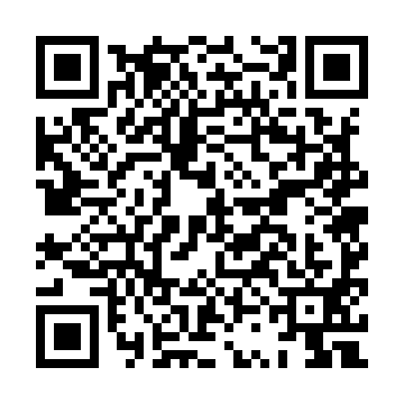 QR code for HSG9919