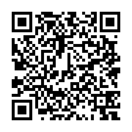 QR code for HSM0387