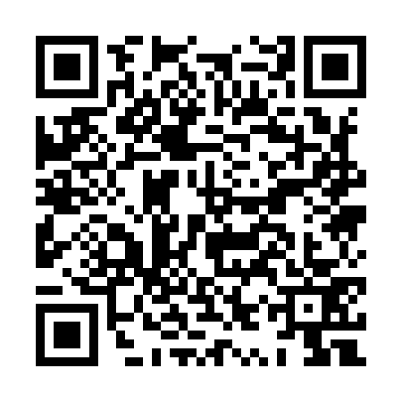 QR code for HYQ9733