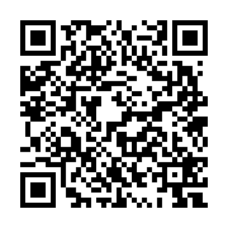 QR code for HYS6297