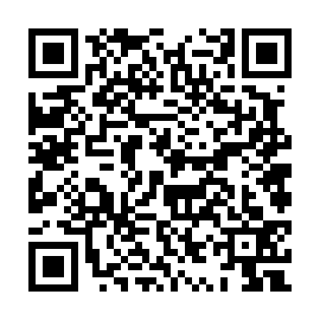 QR code for HYV4334