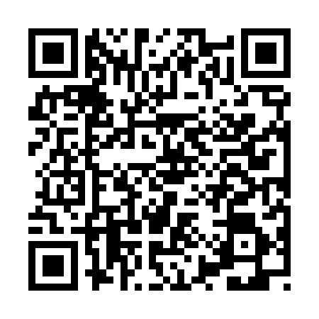 QR code for HYZ4863