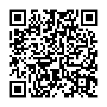 QR code for IAV9453