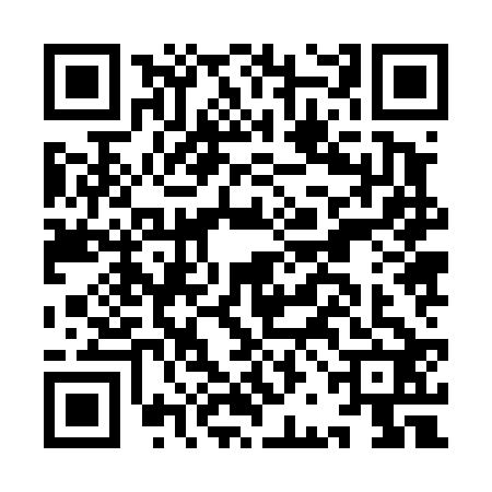 QR code for IBJ4225