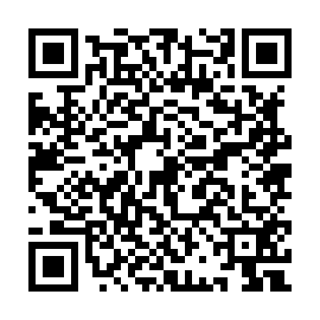 QR code for IBJ8529
