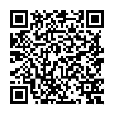 QR code for IBX8738