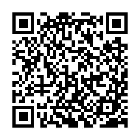 QR code for IC17TM