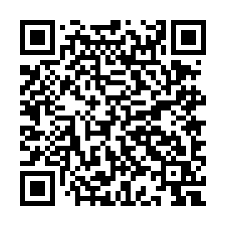 QR code for IC54IS