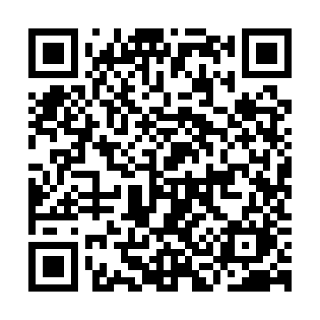 QR code for IC91ZM