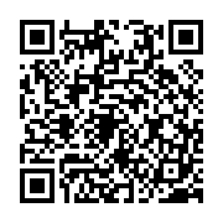 QR code for ICA0636