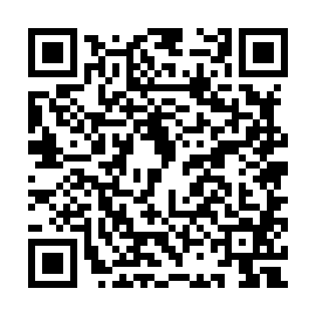 QR code for ICE8843
