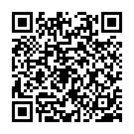 QR code for ICO8119