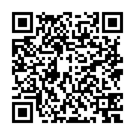 QR code for IDI9389