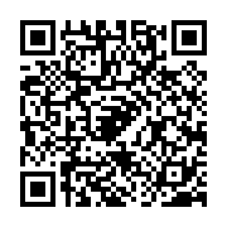QR code for IDT0313