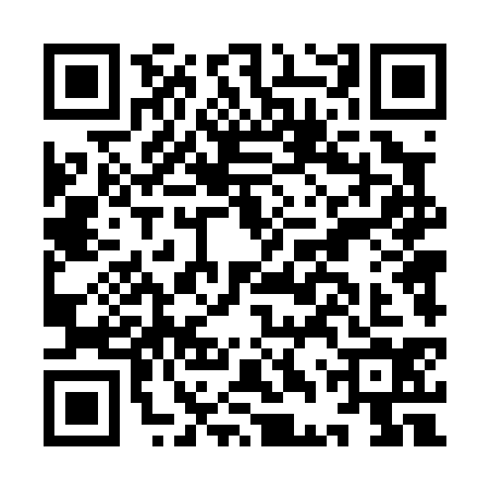 QR code for IDT0343
