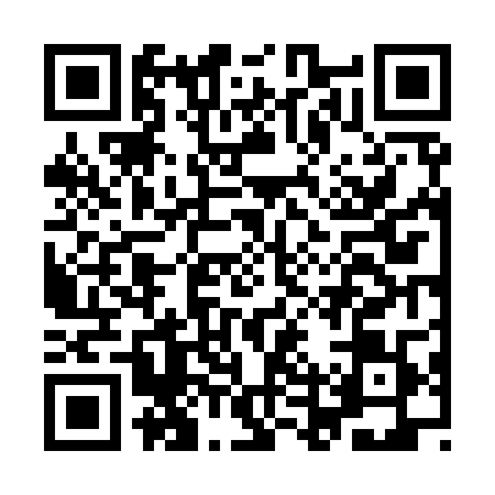 QR code for IDV9095